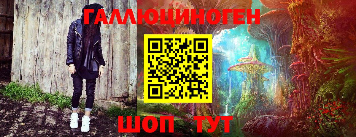 Псилоцибиновые грибы Magic Shrooms Чернушка
